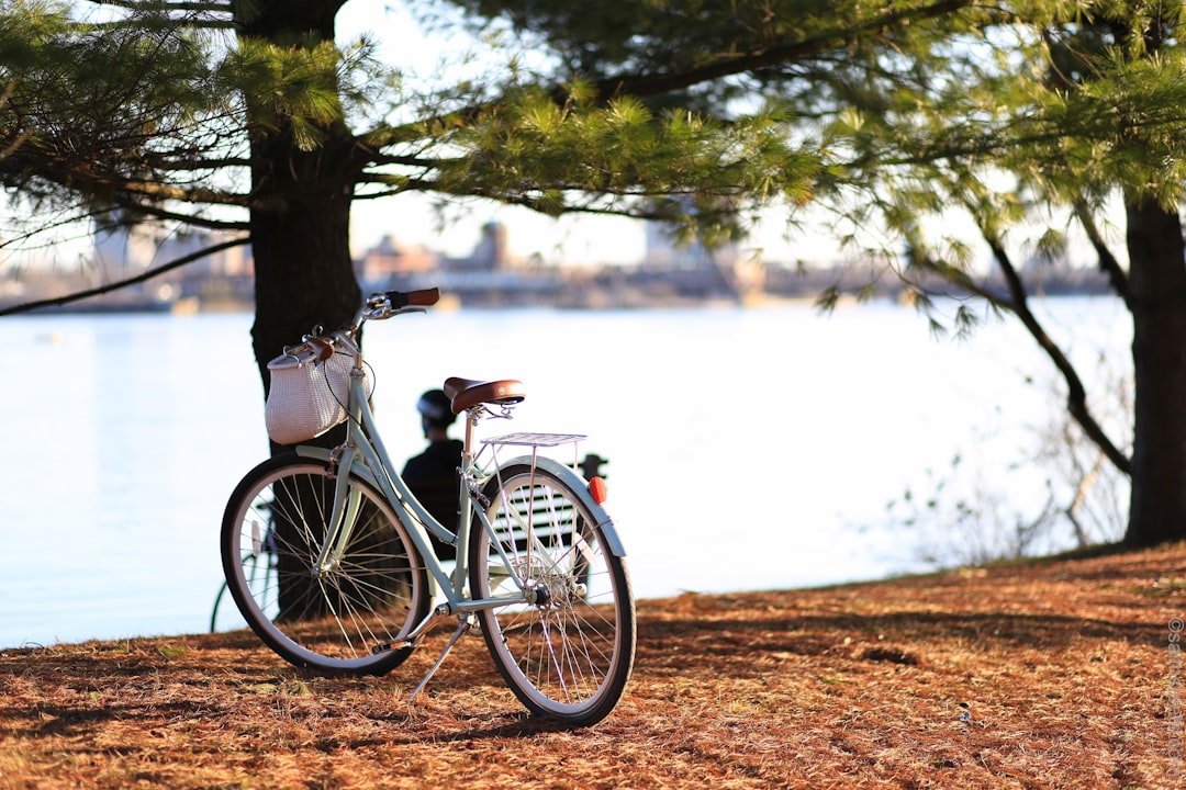 Photo bicycle