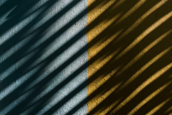 Photo matching colors
